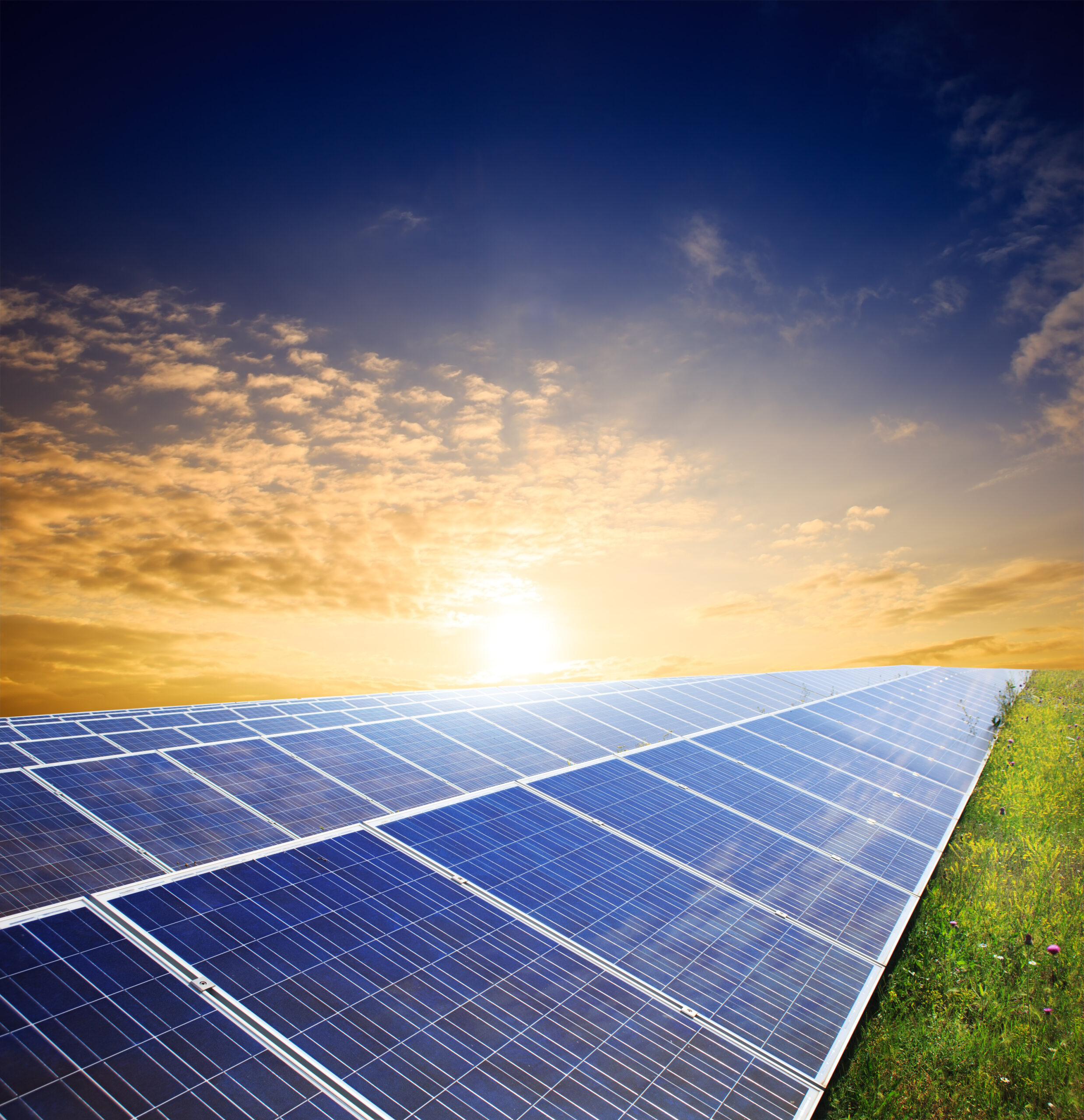 Solar panels on green field under sunset sky
